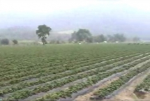 Tasa al uso del agua.