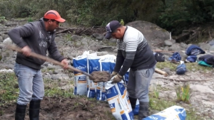 Mano de obra propia para comuna a 35 km de Concepción