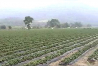 Tasa al uso del agua.